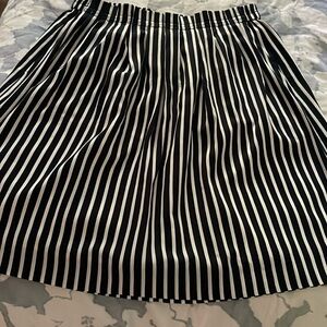 JCrew Navy/White Skirt